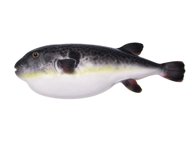 밀복